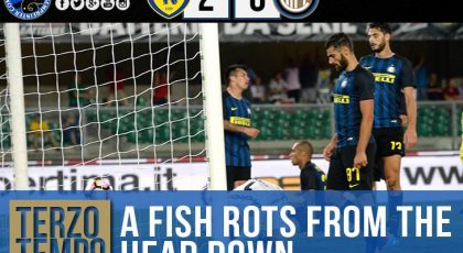 Terzo Tempo – A Fish Rots From The Head Down