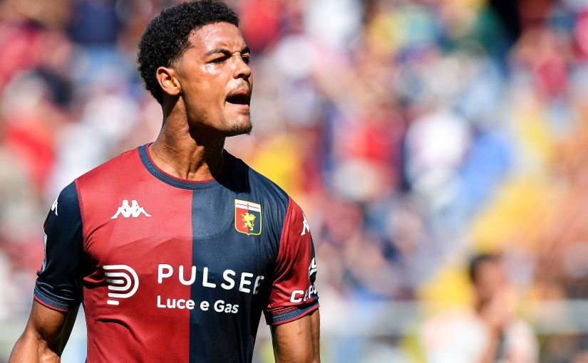 Koni De Winter Genoa