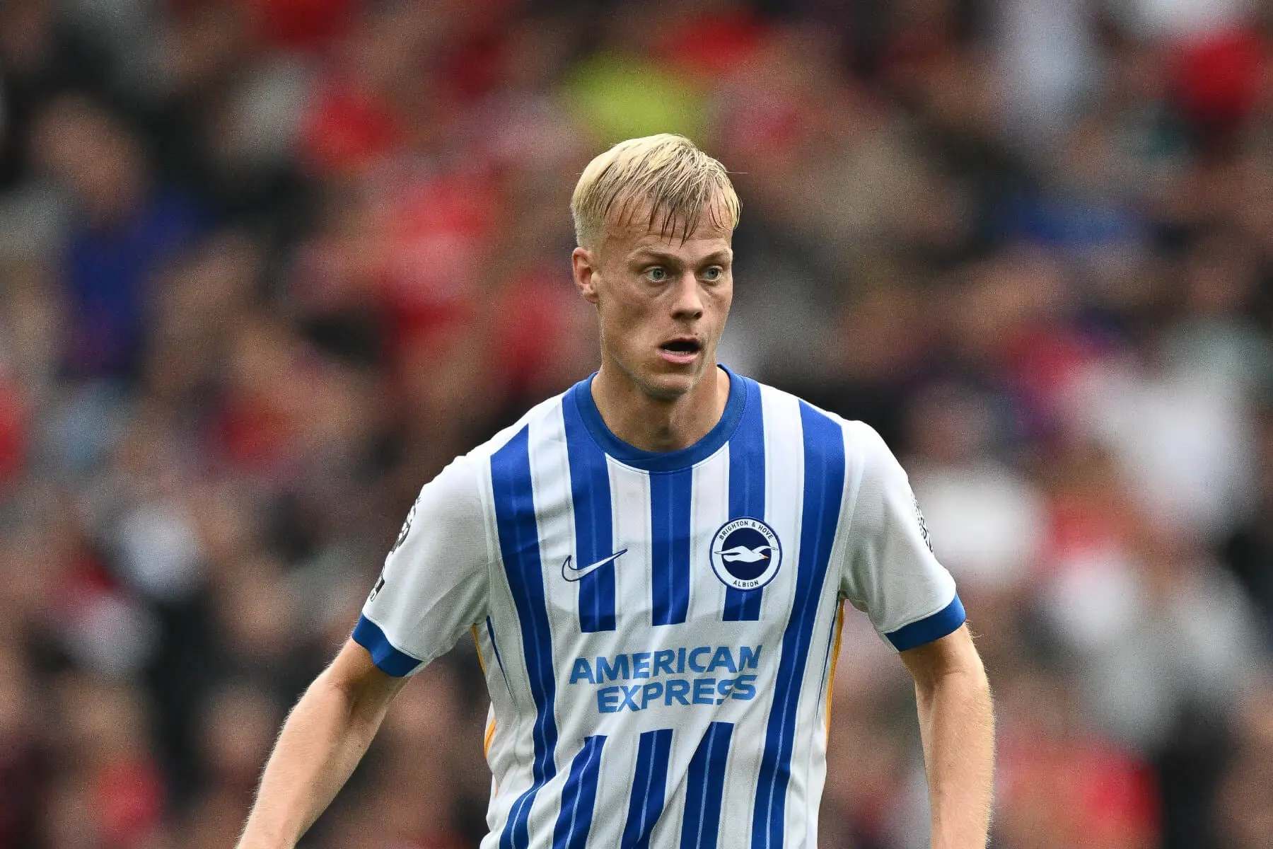 Jan Paul van Hecke in a blue and white striped Brighton & Hove Albion jersey on a football pitch
